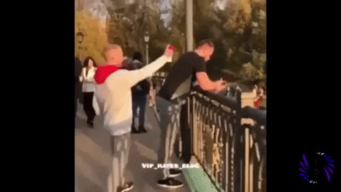 giphy.gif