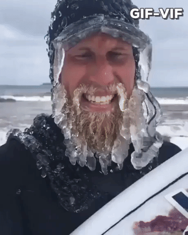 Viking Beard in funny gifs