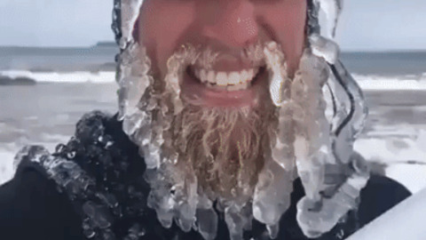 Viking Beard