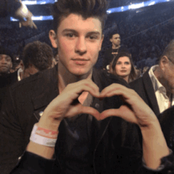 SHAWN MENDES