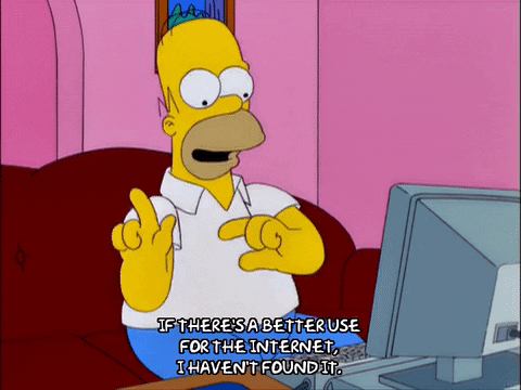 Homer Simpson usando um computador e dizendo em inglês "se há um melhor uso para a internet eu ainda não descobri"