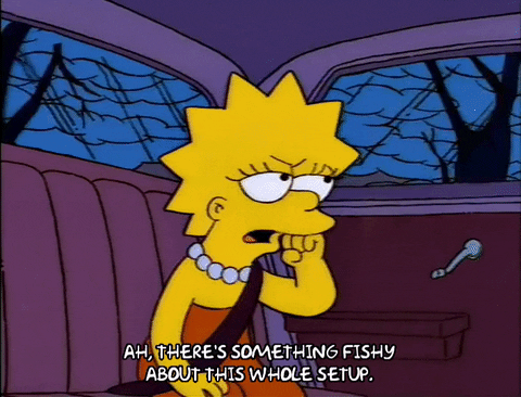 The Simpsons Lisa Simpson Season 5 Episode 5 5X05