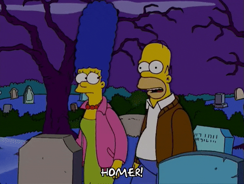 simpsons try and stop us