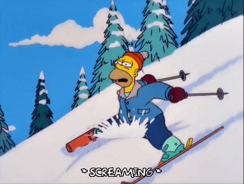 Homer Simpson skiing and getting hit in the nuts