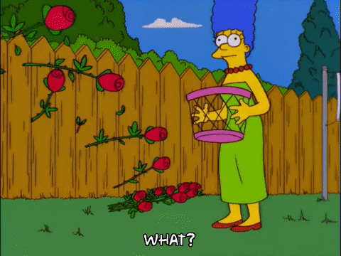 Homer tells Marge he likes her