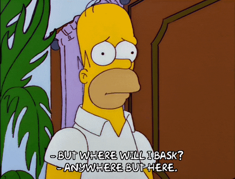 Homer Simpson GIF - Find & Share on GIPHY