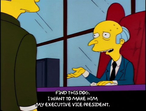 Season 8 Episode 23 GIF - Find & Share on GIPHY