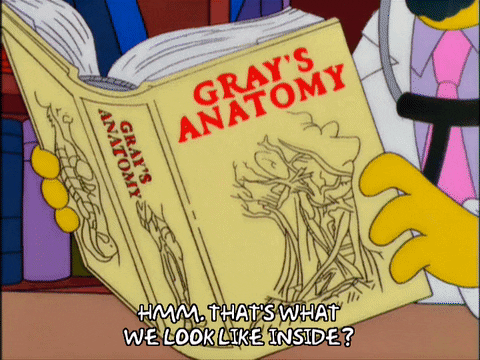 Cartoon reading Gray’s Anatomy