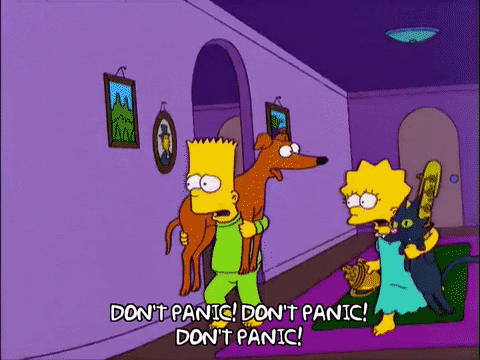 Bart Simpson Gtfo GIF - Find & Share on GIPHY