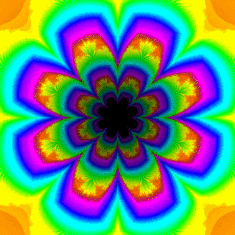 Flower Zoom GIF by Psyklon - Find & Share on GIPHY