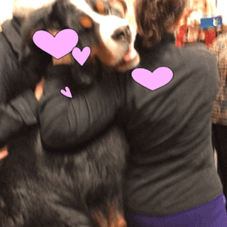 big dog hugs
