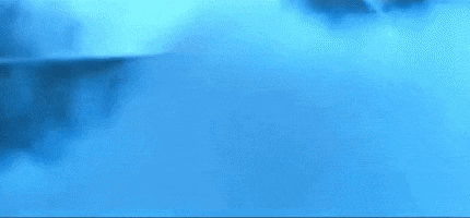 giphy.gif