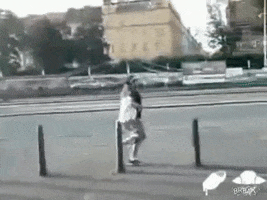 external_gif