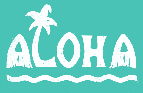 Hawaii Hello GIF by Dylan Morang - Find & Share on GIPHY