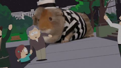 Found Footage GIFs - Find & Share on GIPHY