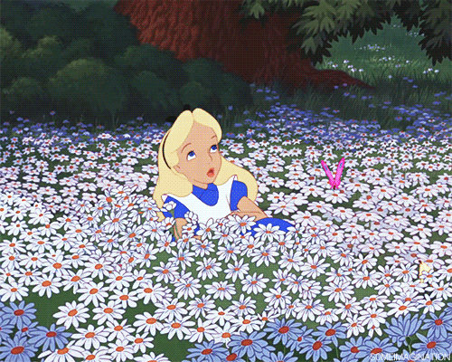 Image result for alice in wonderland meadow gif