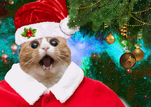 Christmas Space Cat