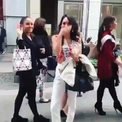 giphy.gif