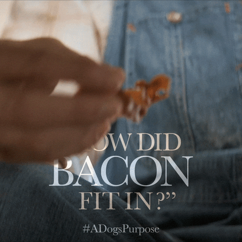 Dogs Eating GIF by A Dog's Purpose - Find & Share on GIPHY