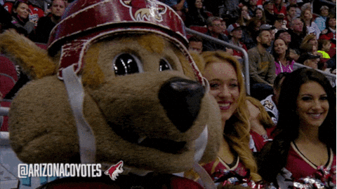 Hockey Popcorn GIF by Arizona Coyotes