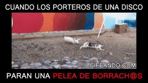 imagenes gif,imagenes graciosas, las mejores imagenes, imagenes graciosas, chistes, risas