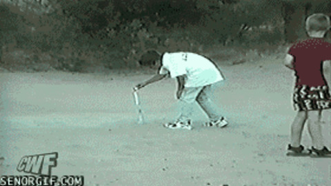 Doggy Fireworks best Gif