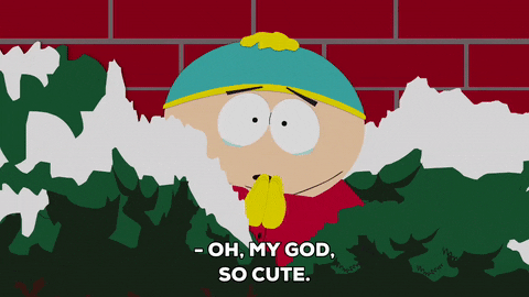 Eric Cartman Omg GIF by South Park  - Find & Share on GIPHY