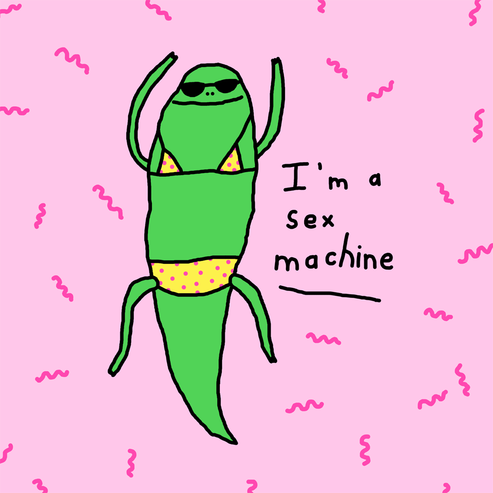 Sex Machine Pastel By Yippywhippy Find And Share On Giphy 0984
