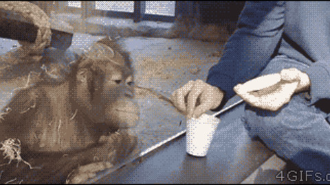 Magic! Cute Gif