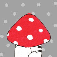 POV: гриб — це не рослина. Він живиться готовою органікою 🍄