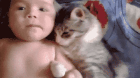 Together best Gif