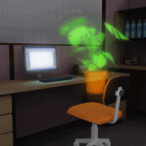 CORNER OFFICE VACANCY
