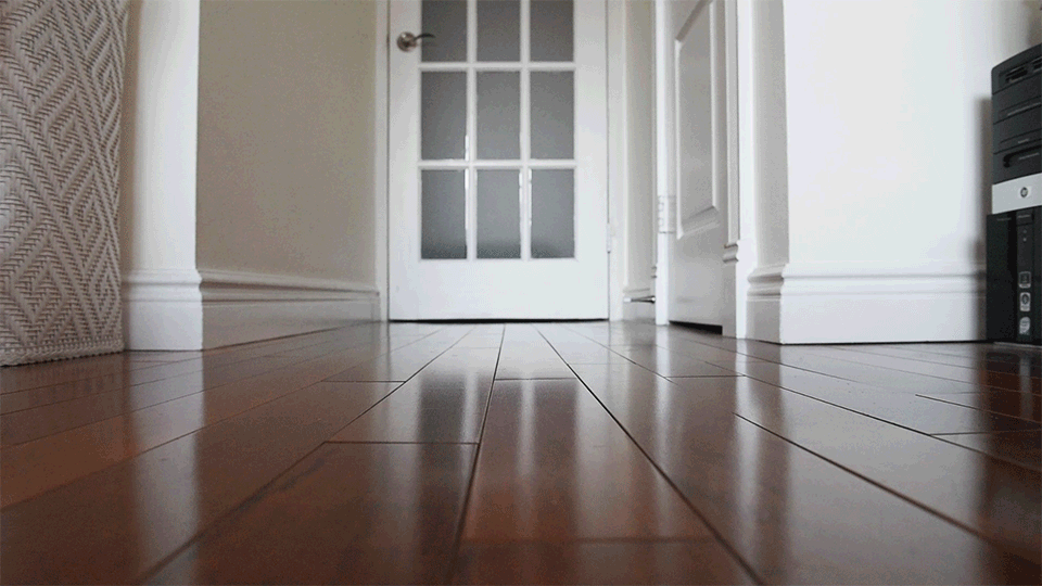 балерины в своих спальнях, Дэймон Дален