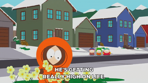giphy.gif