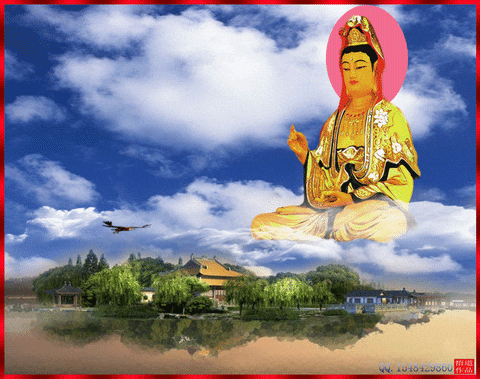 Khám phá hình Phật đẹp đầy tâm linh và thanh tịnh để thư giãn và cảm nhận sự thanh thản trong lòng.
