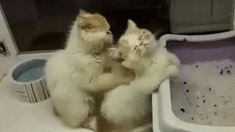 Massage Time best Gif