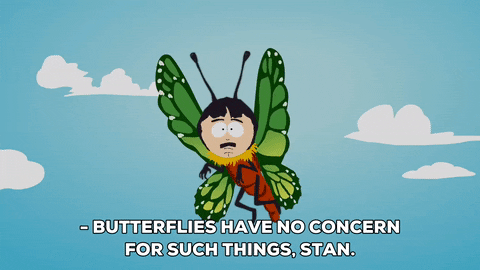 Fly Butterfly GIF by South Park  - Find & Share on GIPHY