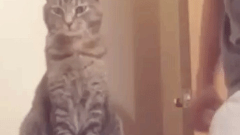 That was You, wasn't it? best Gif