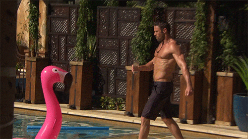 The Bachelorette GIF - Find & Share on GIPHY