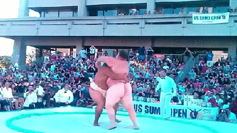 Sumo best Gif