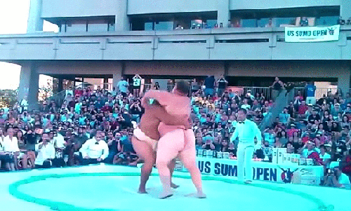 source.gif