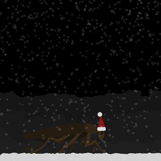 season s greetings animation