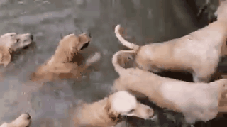 source: imgur.com