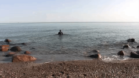 Sea Goodbye GIF - Find & Share on GIPHY