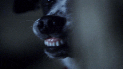 Angry Paranormal Witness GIF by SYFY - Find & Share on GIPHY