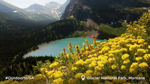 National Parks GIF by Visit The USA - Find & Share on GIPHY