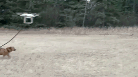 Air Control funny Gif