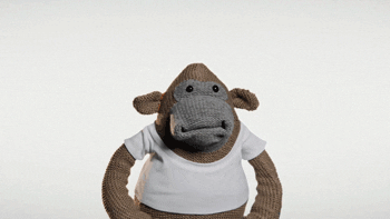 Shocked Oh My God GIF by PG Tips - Find & Share on GIPHY