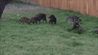 source: imgur.com