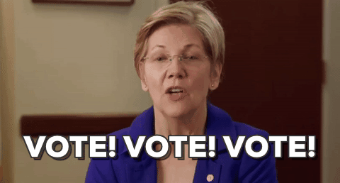 Voting Elizabeth Warren GIF